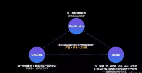 阿里數(shù)據(jù)科學(xué)家一次講透數(shù)據(jù)中臺與大數(shù)據(jù)服務(wù)
